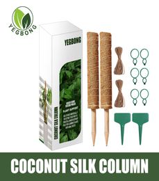 freight YEGBONG OEM ODM Coconut silk climbing pole suit plant support green pineapple pole coconut palm stick pile climbing f3667571