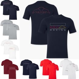 2024 F1 Racing Fans T-shirt Formula 1 Team Polo Shirts T-Shirt Summer Men's Casual Breathable Crew Neck T-shirts Sports Jersey Tops