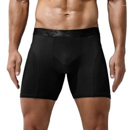 Underpants 2024 Style Cotton Boxer Long Leg Underwear For Man Shorts Big Size And Panties Homme Boxerhomme