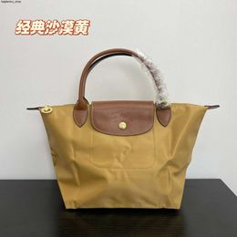 Luxury Leather Designer Brand Nylon Shoulder Bag Tote High Version Bag Classic Nylon Dumpling Bag One Shoulder Tote Bag Large Capacity Folding Bag8QR1