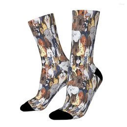 Men's Socks Dog Cute Naughty Lively Clever Clingy Pupper Party Straight Male Mens Women Summer Stockings Polyester Hip Hop