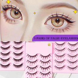 False Eyelashes 5 Pairs 3D Mink Lashes Soft Natural Long Makeup Fluffy Eyelash Faux Extension Wispy Tools Reusable Y3D6