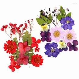 Decorative Flowers Decoration Diy Real Dried Flower Epoxy Resin Mold Fillings Pendant Necklace Jewelry Making Craft Accessories