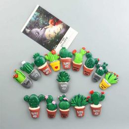 3PCSFridge Magnets Cute Succulent Cactus Flower Fridge Magnet Creative Resin Home Decor