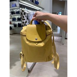 Luxury Handbag Designer Brand Backpack Shoulder Bag Classic Nylon Backpack Versatile for Large Capacity Backpack Leisure Travel Backpack533P