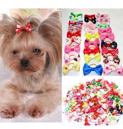 200pcsLot Assorted Pet Cat Dog Hair Bows with Rubber Bands Grooming Accessories Cute Pet Headwear for Small Dogs6503355
