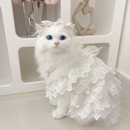 猫の服レースウェディングドレスデザイナー犬の服ホワイトホローレイヤープリンセス猫ドレスファッションエレガントな犬のドレス240507