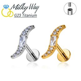 Stud Fashion Nose G23 Titanium Earrings Salix Leaf Labret Lip Ring Sexy Spiral Perforated Jewellery Gothic Accessories Q240507