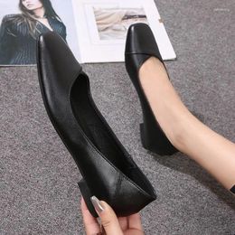 Casual Shoes Women's Single 2024 Summer Breathable Women Pumps Coarse Heel Soft Bottom Work Comfortable Black Heels