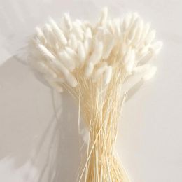 Decorative Flowers 120 White Dried Lagurus Pampas Grass Tails For Interior Decoration Bohemian Home Wedding Decor