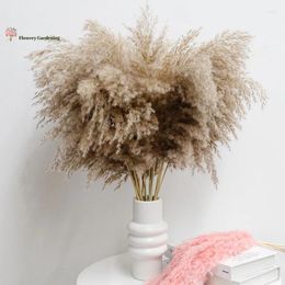 Decorative Flowers Water Pampas Grass Dry Flower Country Wedding Decoration And Table Accessories Dried For Party Home Supplies