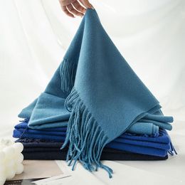 Solid Colour Soft Classic Cashmere Feel Winter Blanket Scarf Shawls Wraps Women Travel Office Wedding Long Large Scarves HW0246