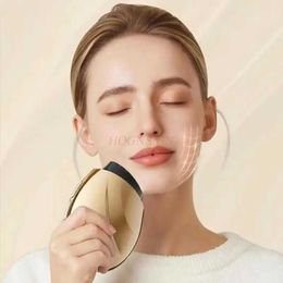 Home Beauty Instrument New micro current enhancement and fixed facial heating vibration induction electric beauty instruments Q240507