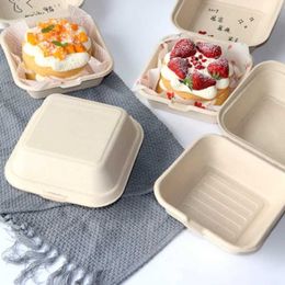Disposable Dinnerware 20/40/50Pc disposable lunch box/mat bento food container baking fruit burger cake ready to eat packaging Q240507