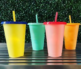 710ML Temperature Colour Changing Cold Cups Plastic Reusable Magic Tumbler Juice Coffee With Straws Drink Water Bottle 1PC6189357