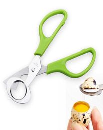 Stainless Steel Pigeon Quail Egg Shells Scissors Bird Cutter Opener Egg Slicers Cigar Cutter Kitchen Tool Clipper SN5162852376