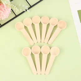 Dinnerware Sets 10pcs Mini Wooden Small Spoons Kitchen Seasoning Honey Coffee Cooking Bean Salt Spice Jars Measuring Tools