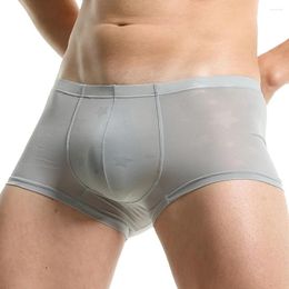Underpants Sexy Men Solid Colour Underwear Quick Dry Shorts Summer Boxers Briefs Breathable Seamless Panties Stretch Lingerie