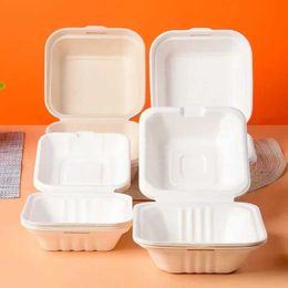 Disposable Dinnerware 5-piece cake and dessert box microwave biodegradable disposable lunch food container vegetable salad takeaway packaging Q240507