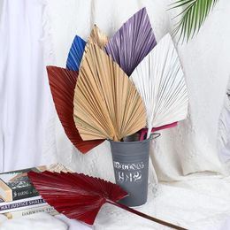 Decorative Flowers Nordic Style Natural Cattail Fan Leaf Dried Flower Palm Sunflower Wedding Home Decoration Arrangement Material