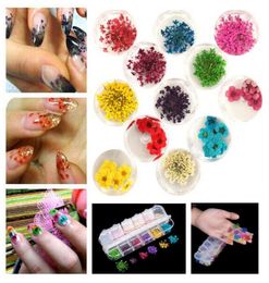 3D Nail Art Dried Flowers Sticker Natural Real Preserved Floral Stickers Manicure Decals DIY Tips Polish Decorations 12PCS1425600