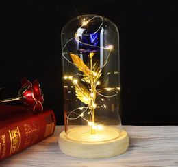 Rose With LED Light rose in glass Dome Beauty Forever Gold plated Flowers For Valentine039s Day Gift5202532