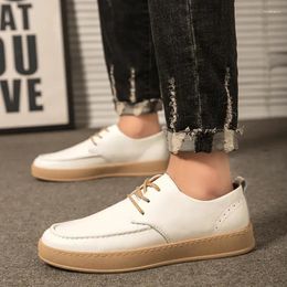 Casual Shoes Men's Lace-up Comfortable Walking Driving Sneakers Spring Autumn Non-slip Thick Bottom Lightweight Office Flats