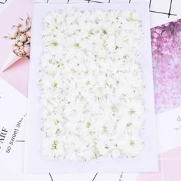 Decorative Flowers 100pcs Natural Pressed Dried Flower Petals Artificial DIY Phone Case Party Wedding Decoration