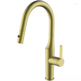 Kitchen Faucets Gold Top Quality Modern Brass Tap Pull Out Luxury Sink Faucet Cold With Sprayer 1 Hole Grey