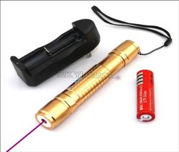 GPX2 405nm Gold Adjustable Focus Purple laser pointer penLight Beam Hunting Teaching with Batteries Charger5403288
