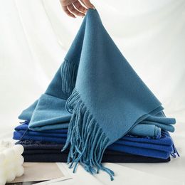 Solid Colour Soft Classic Cashmere Feel Winter Blanket Scarf Shawls Wraps Women Travel Office Wedding Long Large Scarves HW0252