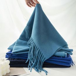 Solid Colour Soft Classic Cashmere Feel Winter Blanket Scarf Shawls Wraps Women Travel Office Wedding Long Large Scarves W0252