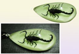 YQTDMY 12 PCs Insektenmode -Skorpion Pendant Style Luminous Small Adorn Artikel 59417539775151