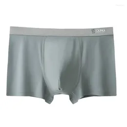 Underpants Oversized Men's Underwear Graphene Antibacterial Ice Silk Loose Plus Size Boxer For Men Seamless Breathable Large Panties