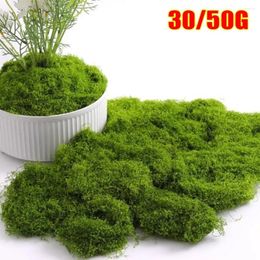 Decorative Flowers 1Set For Potted Plants Simulation Moss Home Garden Decors Ornaments Micro Landscape Fake Grass DIY Crafts Flower Green