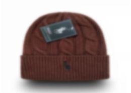 embroidery polo beanie unisex autumn winter beanies knitted hat For Men and Women hats classical sports small horse skull caps lad5835376