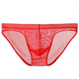 Underpants Men's Mesh Thin Transparent Ice Silk Briefs Low Waist Sexy Seamless Breathable Panties For Men See Through Underwear