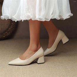 Dress Shoes Elegant Women Pumps Korean Style High Heels Pointed Toe Shallow Thick Heel Fashion Ladies Dressy Sapatos De Mujer