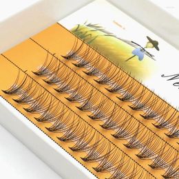 False Eyelashes 10D Mink 1 Box/60 Bundles Natural Eyelash Extension 3D Russian Individual Cluster Makeup Tools