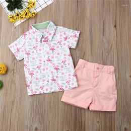 Clothing Sets 1-6years Baby Boys Summer Clothes Set Short Sleeve Lapel Animal Print Shirt Solid Colour Shorts Kids 2pcs Casual Outfits