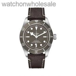 Luxury Tudory Brand Designer Wristwatch Emperor Watch Series Mens Watch Fashion Sports Business Belt Mechanical Watch M79010sg-0001 with Real 1:1 Logo