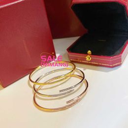 316L 18k gold Bangle 3mm Bracelet Thin Nail Bracelets for Women Men Cubic Zirconia Love Designer Jewellery B2YZ