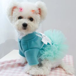 1PC Pet Apparel Dog Cat Autumn Winter Thickened Warm Blue Ladies Temperament Gift Box Bow Princess Dress For Small Medium Dogs 240507