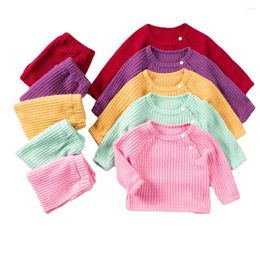 Clothing Sets Infant And Toddler Leisure Suit Boys Girls Solid Color Long Sleeve Pants Two-piece Spring Autumn Baby Clothes