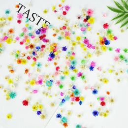 Decorative Flowers 5-12mm Dried Head DIY Art Craft Epoxy Resin Candle Making Jewellery Natural Nail Home Party Flower Decor