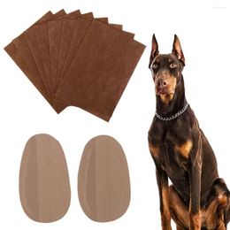 Dog Apparel Doberman Pet Ear Correction Pinscher Correct Stand Up Stickers Erector Supplies Care Tools
