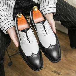 Men Wingtip Detail Dress Business Two Tone Oxford Shoes For Wedding party