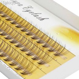 False Eyelashes Natural 10D Mint Eyelash Extension 1 Box/60 Bundles Natural 3D Russian Personal Cluster Eyelash Makeup Tool Wholesale Cilia d240508