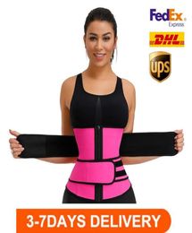 US STOCK Unisex Shapers Waist Trainer Belt Corset Belly Slimming Shapewear Adjustable Waist Support Body Shapers FY80848315967