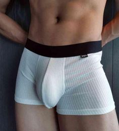 Man Underwear Sexy Boxers Modal For Men039s Panties Fashion Breathable Soft Boxer Shorts U Bulge Penis Pouch Male Underpants Cu7613967